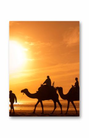 silhouettes of camels at sunset