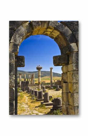 Morocco. Volubilis. The forum seen via arch of the basilica. There is nest with the White Storks (Ciconia ciconia) on the top of column. This site is on UNESCO World Heritage List