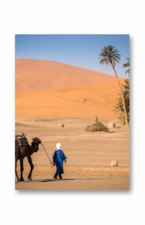 Berber wiodący karawana, Hassilabied, Sahara, Maroko