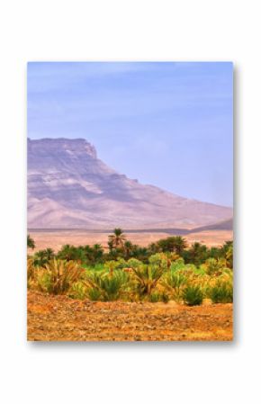 Table mountain and date palms landscape in oasis in Draa Valley, Morocco