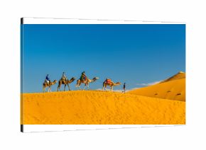Tourists riding camels at Erg Chebbi near Merzouga in Morocco