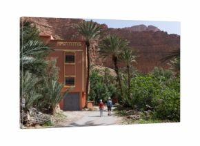 Promenade dans les Gorges d'Aït Mansour au Maroc
