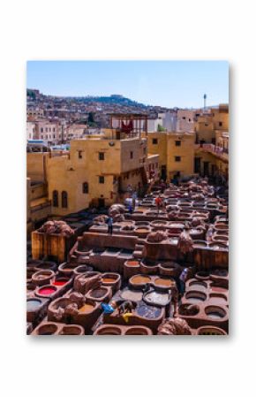 Gerberei in der Medina von Fès  Marokko