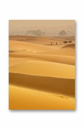 little caravan go between sand dunes in Morocco