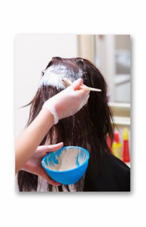 Woman dying hair in hairdressing beauty salon. Hairstyle.