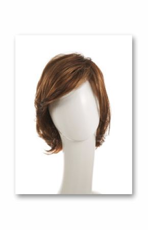 Hair wig over the mannequin head