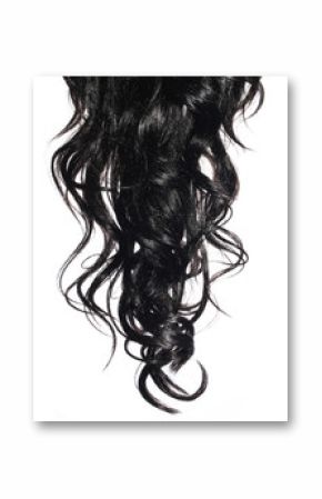 Curly Black Hair isolated in white. Brunette