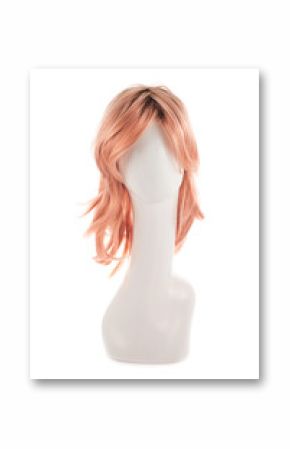 Hair wig over the mannequin head