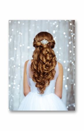 Beautiful Hair of Bride in Lights. Fashion Dress and Coiffure