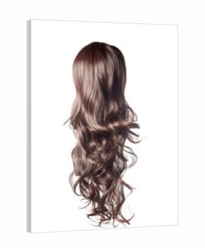 long curly gray wig on a white background