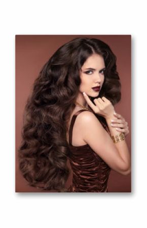 Healthy long hair. Beautiful girl. Hairstyle. Makeup. Elegant br