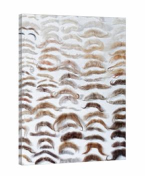 Selection of Mustaches at the Theater Store