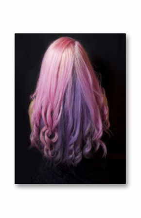 Rear view of pink hairstyle. Studio photography