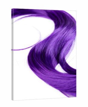 A lock of curly voluminous shiny purple color hair on a white background.