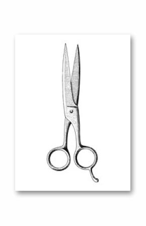 Scissors hand drawing engraving style