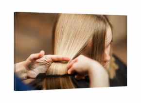 hairdresser stylist cuts with scissors the girl's hair in salon
