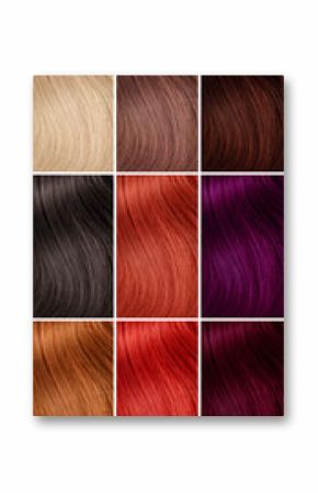 Example of different hair colors