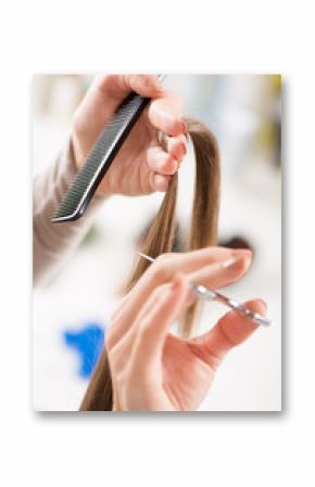 Hairdresser cut hair of a woman.