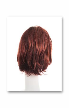 Hair wig over the mannequin head