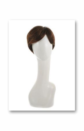 Hair wig over the mannequin head