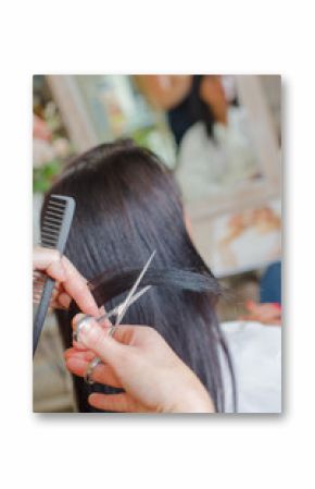 Brunette at the hair salon