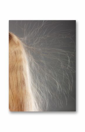 Closeup of woman with static blonde hair.