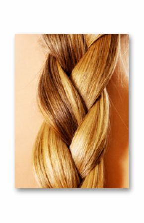 Braid Hairstyle. Blond Long Hair close up.
