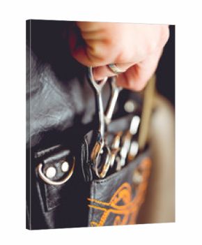 Hair Styling and Cutting Tool belt