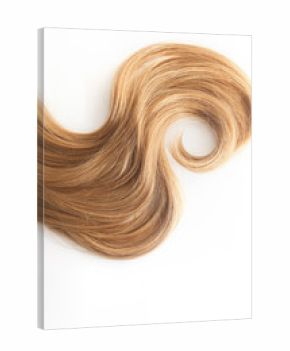 Blonde Curls hair isolated on white background. strand of light or red hair, hair care