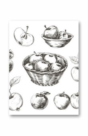 Apples collection. Sketch apple tree branch, fruits in baskets and bowl. Fresh vitamin food. Seasonal harvest, agriculture and farm market, vector elements