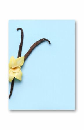 Vanilla sticks with flower on color background
