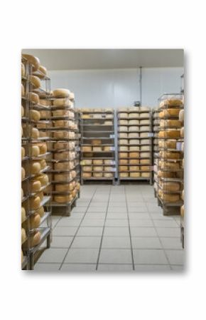 Aging Ossau-Iraty cheese on shelves in a maturing cellar in the Pyrenees