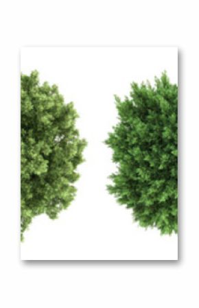 PNG Diverse vibrant tree top views, element set on transparent background