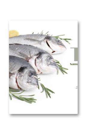 Sea food. Dorado fish and products on white background. Banner design with space for text