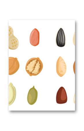 Nuts icon. Nuts icon set. Pistachio, Almond, Hazelnut, Cashew, Walnut. Vector Illustration. Cartoon seeds. Organic raw