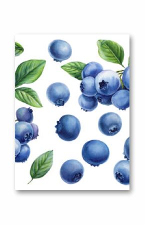 Watercolor Blueberry Clipart Set Berries and Green Leaves Fresh Summer Fruit Collection Food Packaging Labels Kitchen Decor