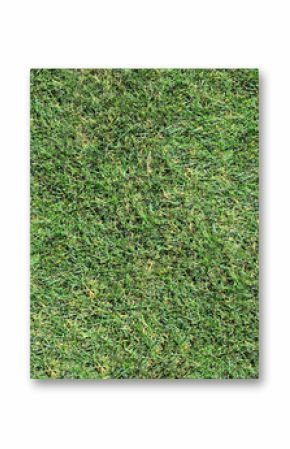 Summer picnic or BBQ food double border. Above view with blanket over a green lawn banner background. Hamburgers, hot dogs, salads, fruit and lemonade. Copy space.
