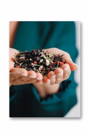 Female hands holding assorted herbal tea blend