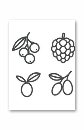 Fruit outline icon set. pear, berry, cherry, grapes, citrus icons collection
