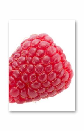 collection of single raspberry isolated on white background