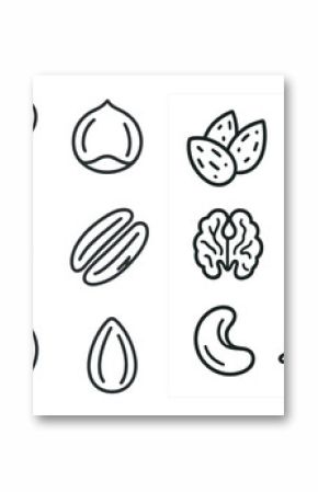 Set of images of nuts and seeds. The nuts and seeds are shown in various sizes and shapes