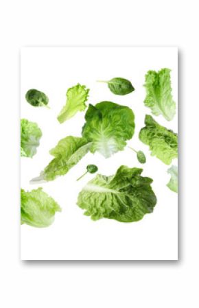 Fresh lettuce and spinach leaves flying against white background