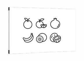 Minimalist fruit icon set: citrus, banana, kiwi, coconut, pomegranate in linear style