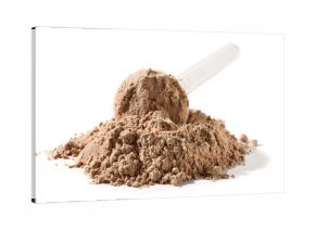 chocolate flavored protein powder