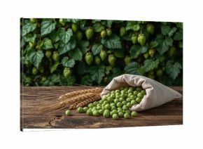 Ingredients for beer brewing including hops and wheat ears displayed on a rustic wooden table with a hop garden backdrop. Concept related to beer production. Wheat ears and hop cones placed in a