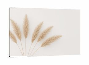Neutral-toned abstract pattern featuring beige reeds on a white backdrop. Sleek and modern natural design.