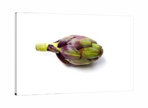 Fresh artichokes with green-purple tones