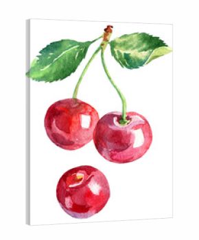 Hand drawn watercolor painting cherry, isolated illustration of berries