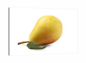 One ripe yellow pear with green leaf isolated on white