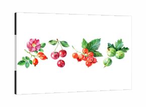 Rosehip, cherry, red currant, gooseberry. Hand drawn watercolor painting isolated illustration of berries